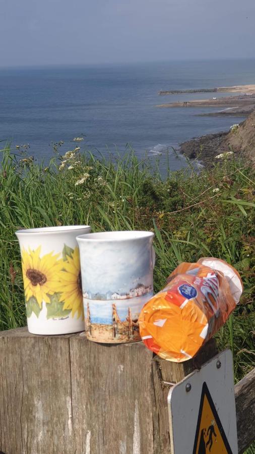 Lodge, Sleeps 4, With Sea & Countryside Views Vakantiehuis *